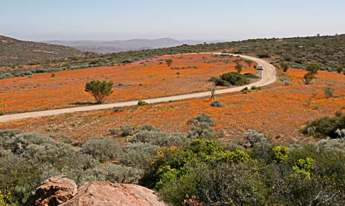 Rugged scenery