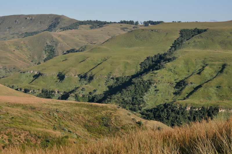 Van Reenens Pass