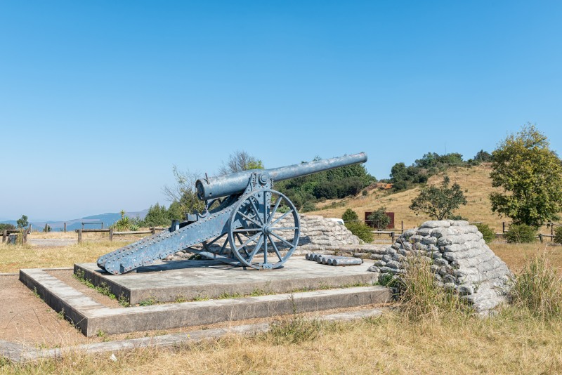 Long Tom Cannon