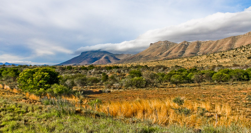 Tarkastad scenery