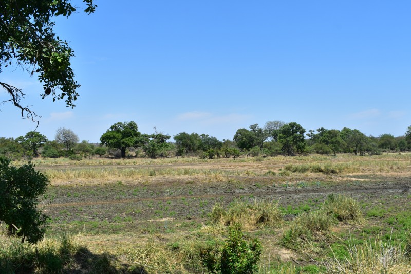View from the hide