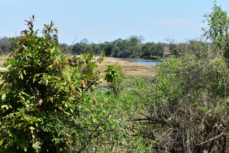 View to the north