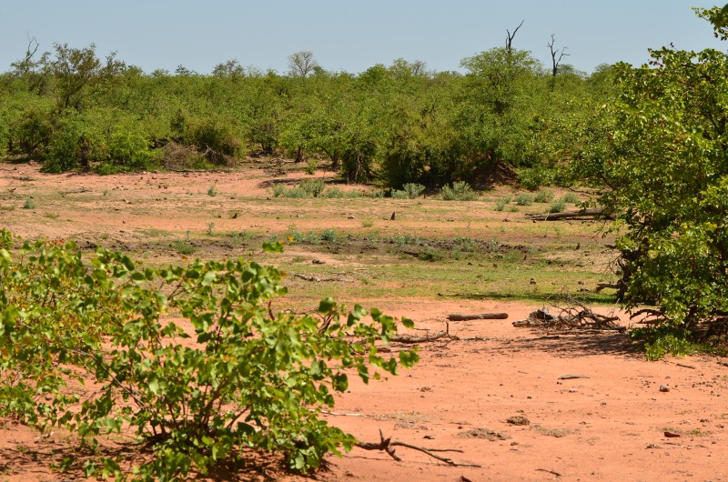 Dry river bed